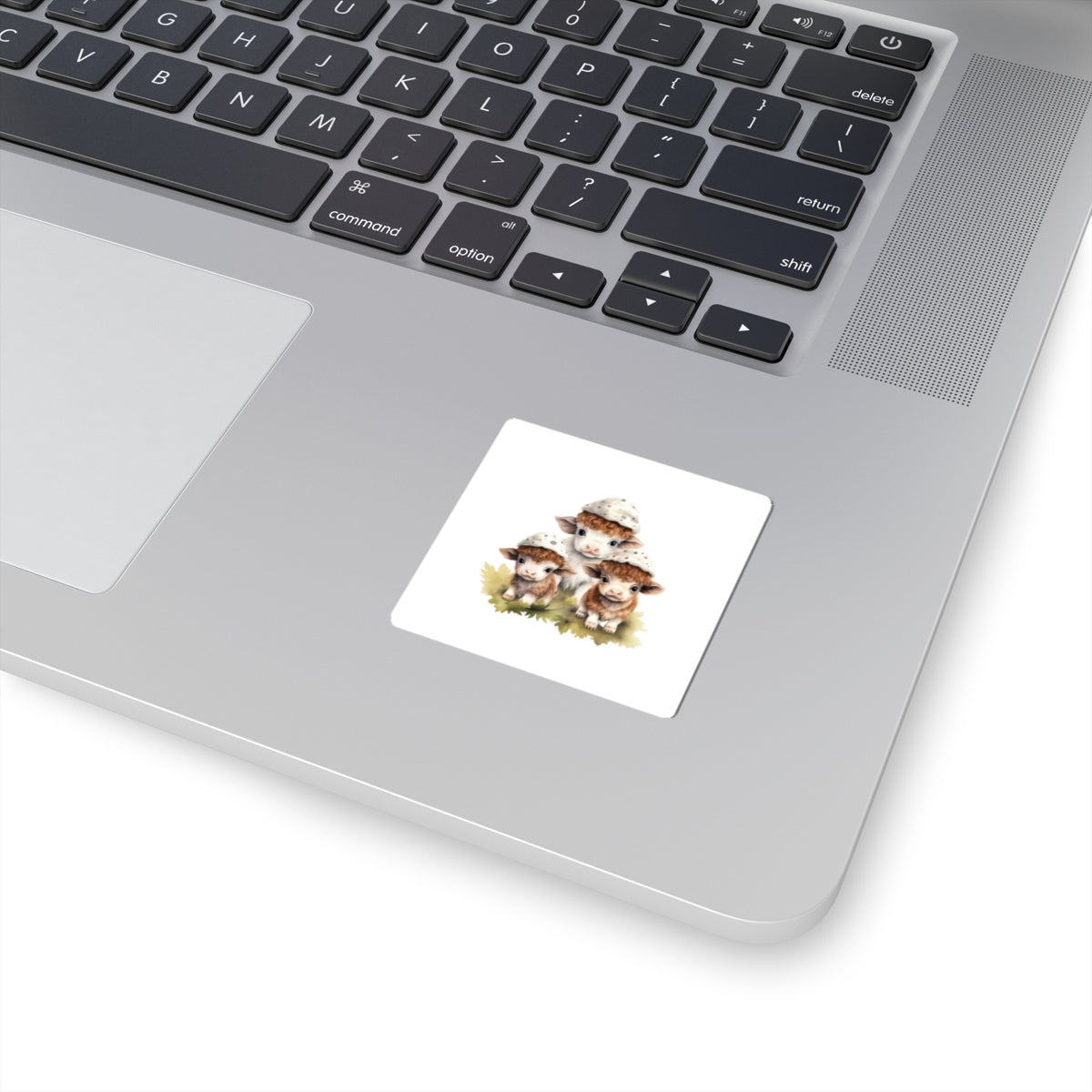 Kiss-Cut Stickers