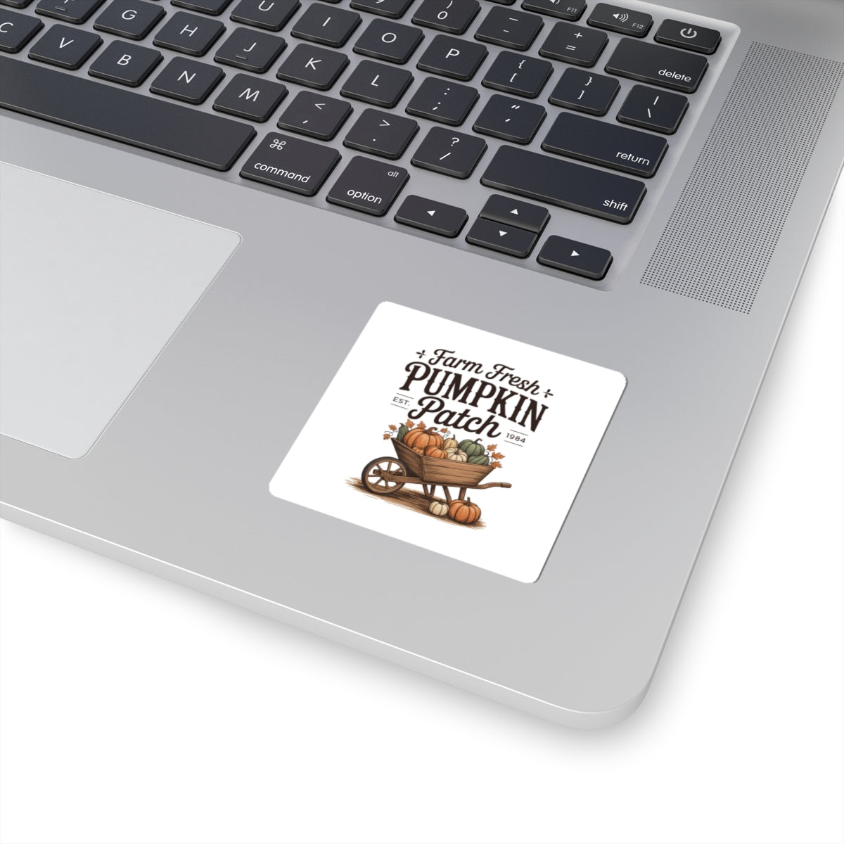 Kiss-Cut Stickers