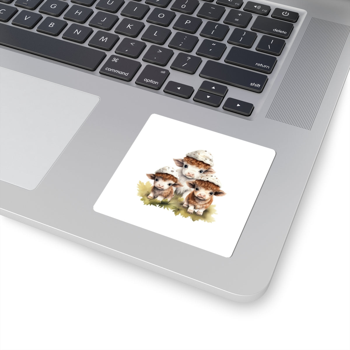 Kiss-Cut Stickers